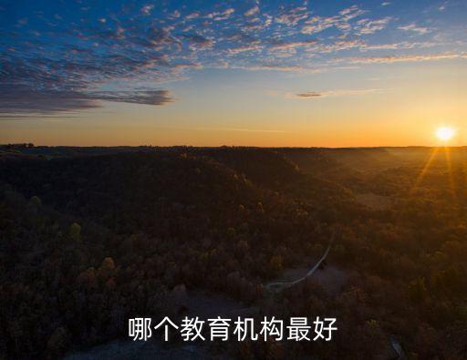 哪個(gè)教育機(jī)構(gòu)最好