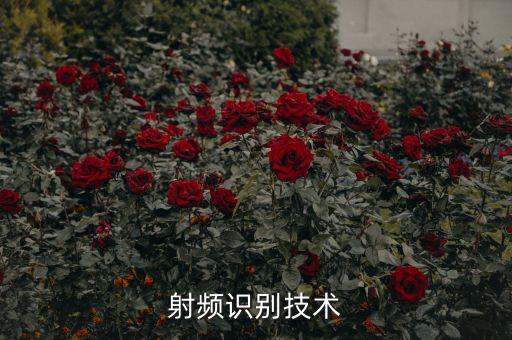 射頻識別技術(shù)與應(yīng)用第二版，射頻識別RFID技術(shù)與應(yīng)用