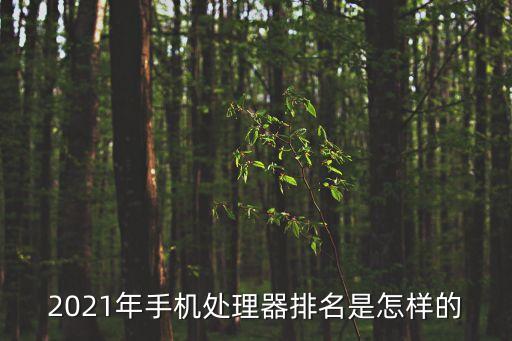 2021年手機(jī)處理器排名是怎樣的