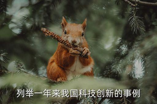 列舉一年來我國科技創(chuàng)新的事例