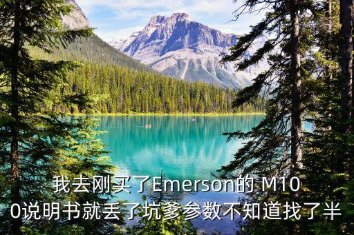 我去剛買了Emerson的 M100說(shuō)明書就丟了坑爹參數(shù)不知道找了半