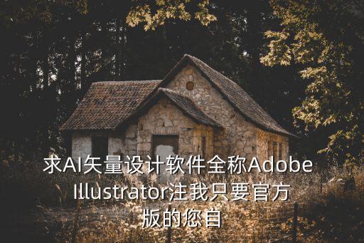 求AI矢量設(shè)計(jì)軟件全稱(chēng)Adobe Illustrator注我只要官方版的您自