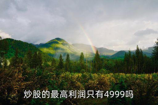 炒股的最高利潤只有4999嗎