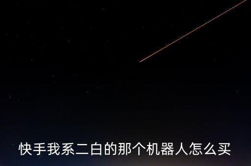 二白機器人在哪買，哪里有機器人賣