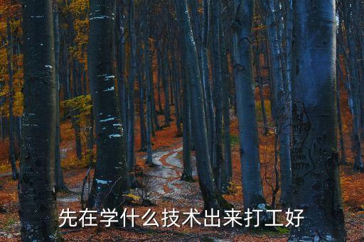先在學什么技術出來打工好