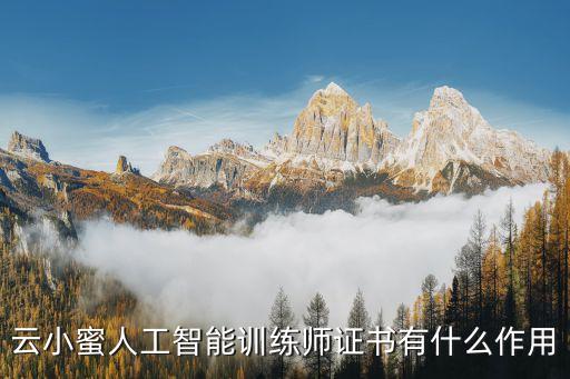 人工智能訓(xùn)練師資格證，關(guān)于人工智能有什么認(rèn)證可以考取嗎