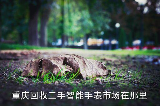 重慶回收二手智能手表市場(chǎng)在那里