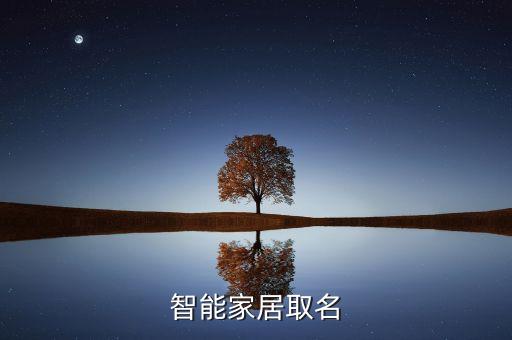 智能家居取名