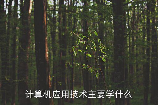 計算機(jī)應(yīng)用技術(shù)主要學(xué)什么