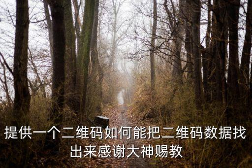 怎么找回二維碼圖片，提供一個(gè)二維碼如何能把二維碼數(shù)據(jù)找出來(lái)感謝大神賜教
