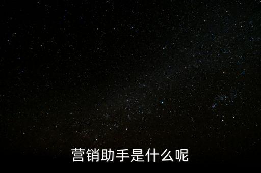 營銷助手是什么呢