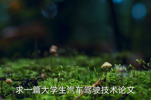 智能駕駛技術(shù)論文，求一篇智能交通仿真技術(shù)發(fā)展的文章要三千字左右