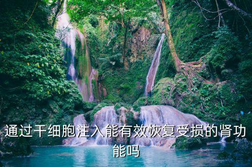 通過(guò)干細(xì)胞注入能有效恢復(fù)受損的腎功能嗎
