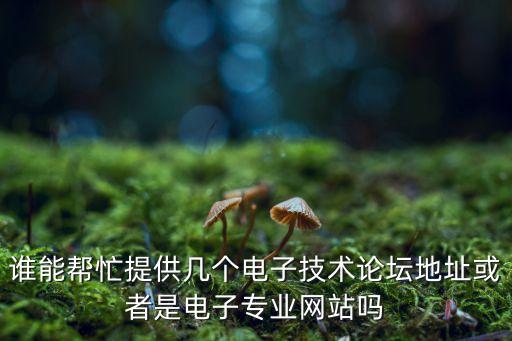 誰能幫忙提供幾個電子技術(shù)論壇地址或者是電子專業(yè)網(wǎng)站嗎