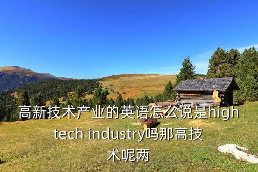 高新技術(shù)產(chǎn)業(yè)的英語(yǔ)怎么說(shuō)是hightech industry嗎那高技術(shù)呢兩