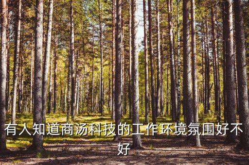 商湯科技待遇怎么樣，本人是一個(gè)AI產(chǎn)品運(yùn)營(yíng)汪最近想跳槽有朋友給我推薦了商湯科技