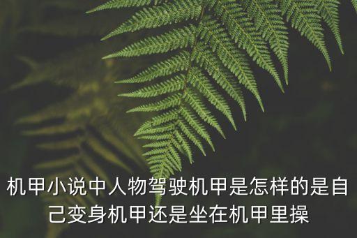 機甲小說中人物駕駛機甲是怎樣的是自己變身機甲還是坐在機甲里操