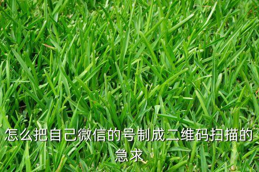 怎么把自己微信的號(hào)制成二維碼掃描的急求