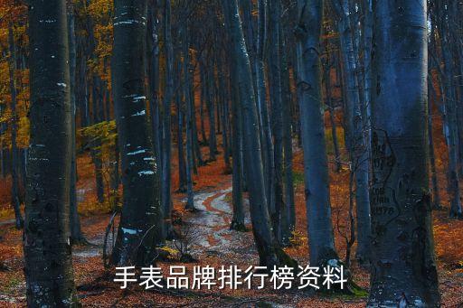 手表品牌排行榜資料