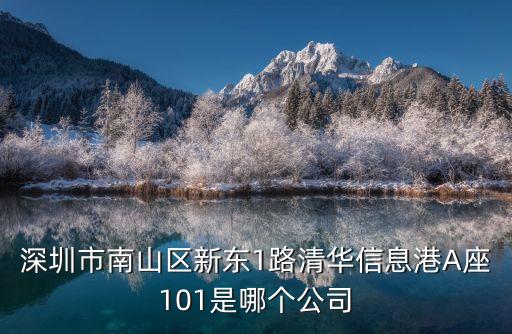 深圳市南山區(qū)新東1路清華信息港A座101是哪個公司