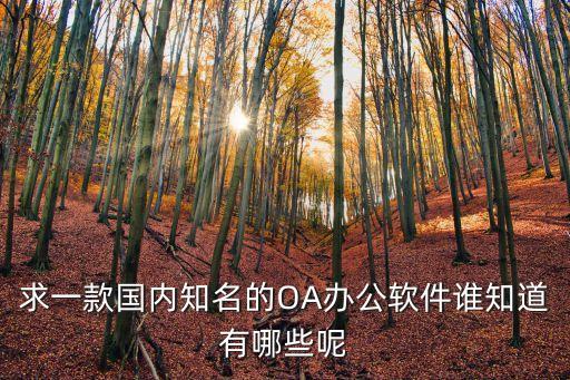 求一款國(guó)內(nèi)知名的OA辦公軟件誰(shuí)知道有哪些呢