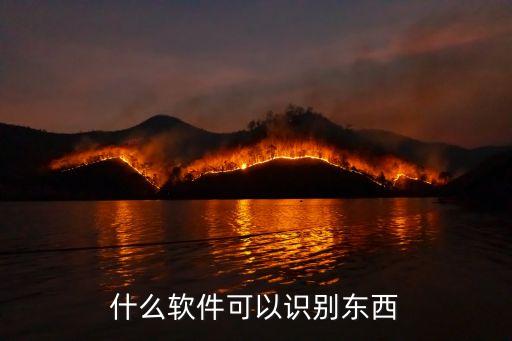 什么軟件可以識別東西