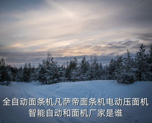 智能化面條機，全自動面條機凡薩帝面條機電動壓面機智能自動和面機廠家是誰
