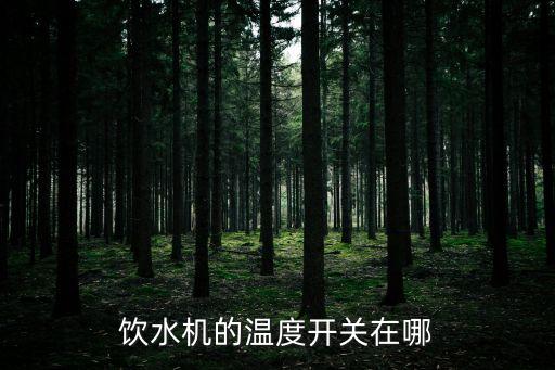 飲水機的溫度開關(guān)在哪