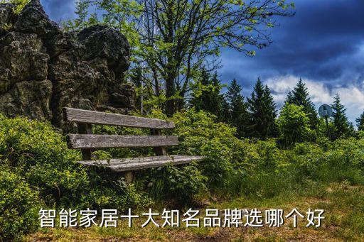 中國智能家居十大知名品牌，我想了解目前中國智能家居品牌排名前十大有哪些謝謝