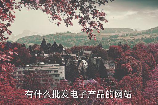 智能科技產(chǎn)品批發(fā)網(wǎng)官網(wǎng)，哪個(gè)網(wǎng)站做智能手表批發(fā)啊