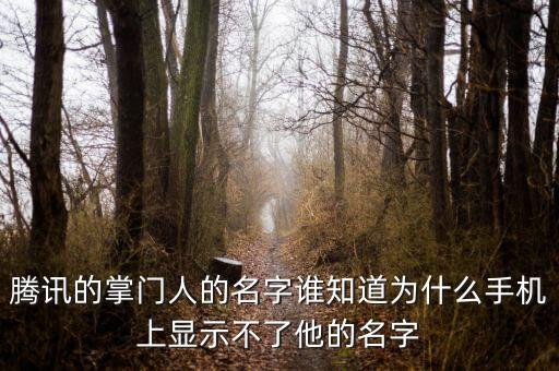 騰訊七大實驗室掌門人，騰訊的掌門人是
