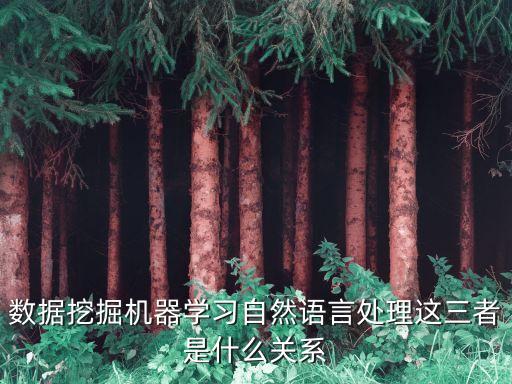 數(shù)據(jù)挖掘機器學(xué)習(xí)自然語言處理這三者是什么關(guān)系