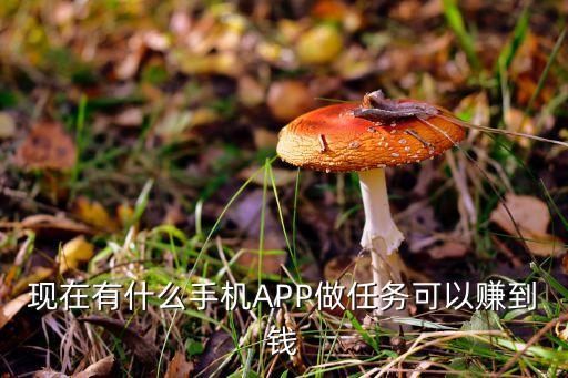 現(xiàn)在有什么手機APP做任務可以賺到錢