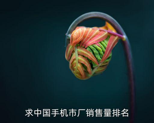國內(nèi)手機(jī)銷售量排行榜2022，國內(nèi)手機(jī)品牌銷量排名