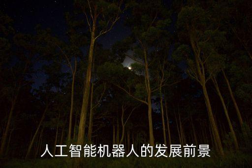 智能機(jī)器人的現(xiàn)狀，人工智能機(jī)器人的發(fā)展前景