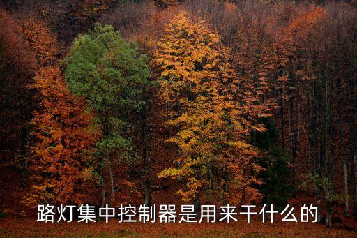 路燈集中控制器是用來干什么的