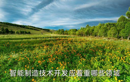 智能制造技術(shù)開(kāi)發(fā)應(yīng)著重哪些領(lǐng)域