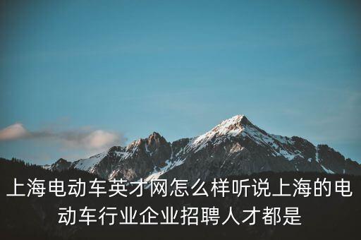 上海電動(dòng)車英才網(wǎng)怎么樣聽說上海的電動(dòng)車行業(yè)企業(yè)招聘人才都是