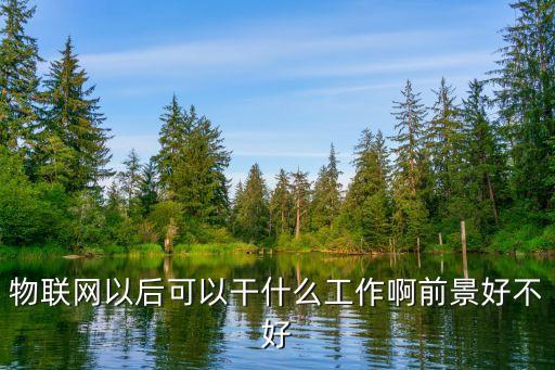 物聯(lián)網(wǎng)工程設(shè)計與實踐，物聯(lián)網(wǎng)是學(xué)什么的以后做什么工作