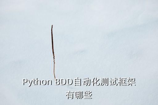 Python BDD自動化測試框架有哪些