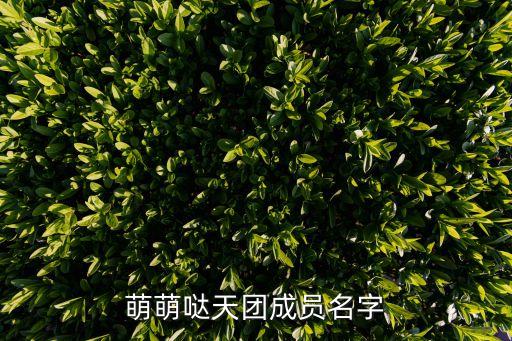 萌萌噠天團(tuán)成員名字