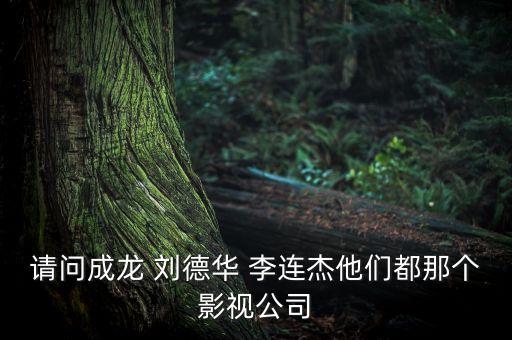 請(qǐng)問成龍 劉德華 李連杰他們都那個(gè)影視公司