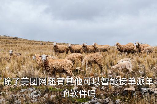 除了美團網(wǎng)還有其他可以智能接單派單的軟件嗎