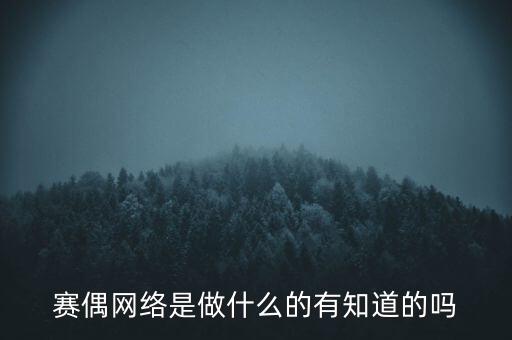 賽偶網(wǎng)絡(luò)是做什么的有知道的嗎