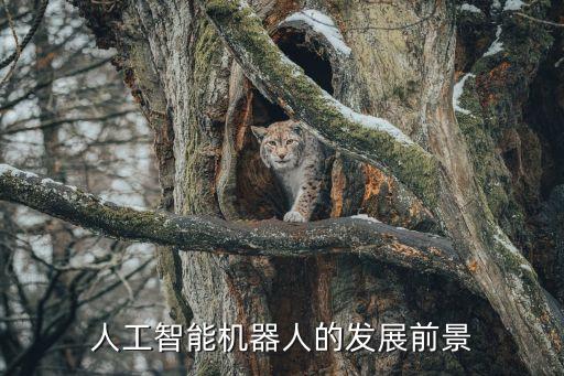 Ai 機(jī)器人，人工智能機(jī)器人具備哪些識(shí)別運(yùn)算功能