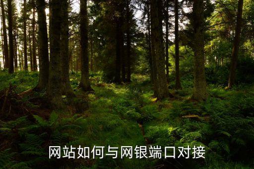發(fā)卡網(wǎng)如何對(duì)接，阿洋發(fā)卡網(wǎng)支付接口文件在哪里如何修改只能對(duì)接一個(gè)指定的易支付