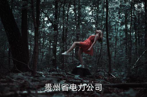 貴州省電力公司