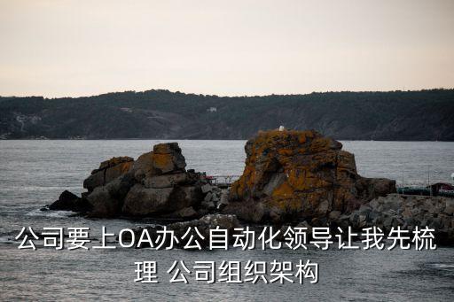 公司要上OA辦公自動(dòng)化領(lǐng)導(dǎo)讓我先梳理 公司組織架構(gòu)