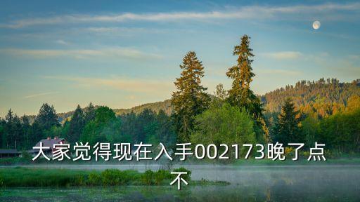 大家覺得現(xiàn)在入手002173晚了點(diǎn)不