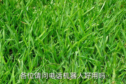 各位請(qǐng)問電話機(jī)器人好用嗎